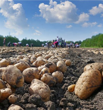 Parc de utilaje si masini agricole